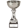 Nordic Silver Cup
